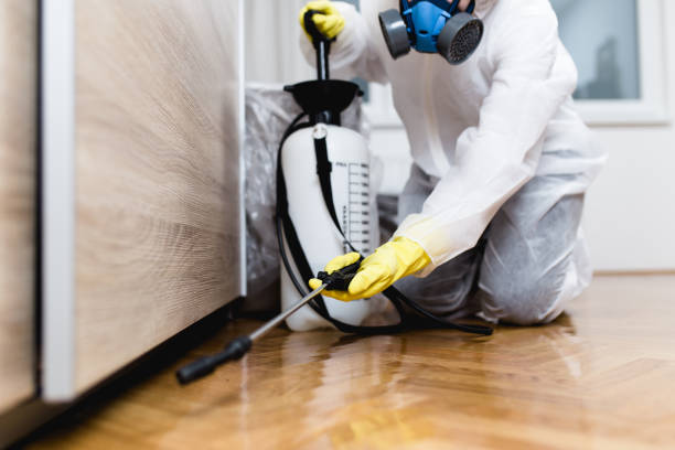 Best Affordable Pest Control Services  in Indiantown, FL