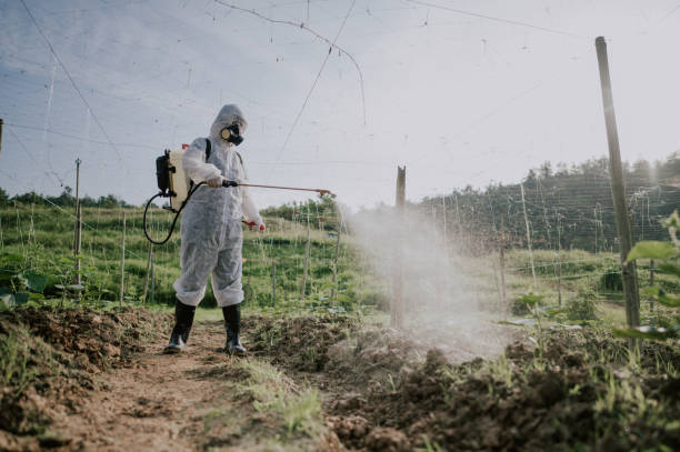 Best Mosquito Control Services  in Indiantown, FL