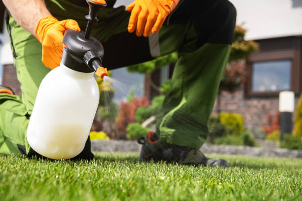 Best Pest Control for Businesses  in Indiantown, FL