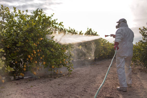 Best Residential Pest Control  in Indiantown, FL