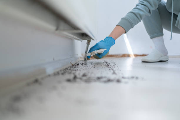 Best Commercial Pest Control Services  in Indiantown, FL